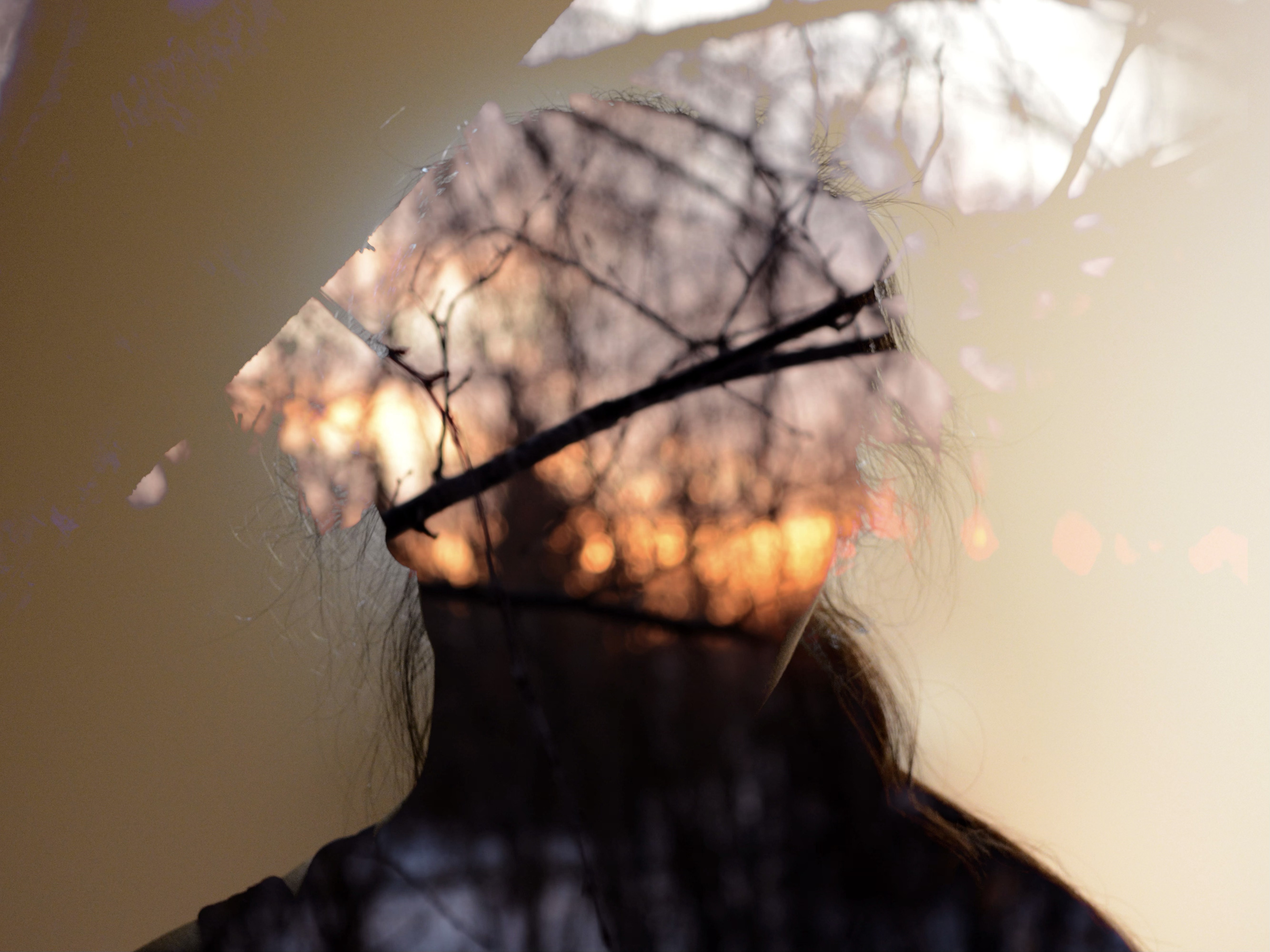 Sunset Silhouette